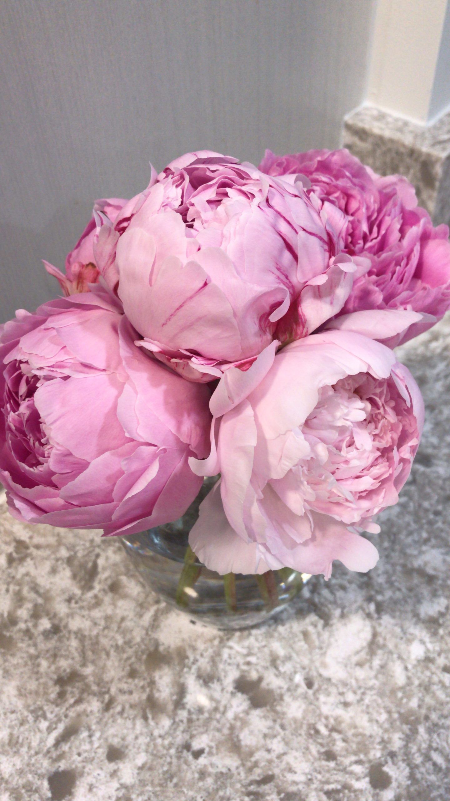 Emily Lucille Life Lately Peonies
