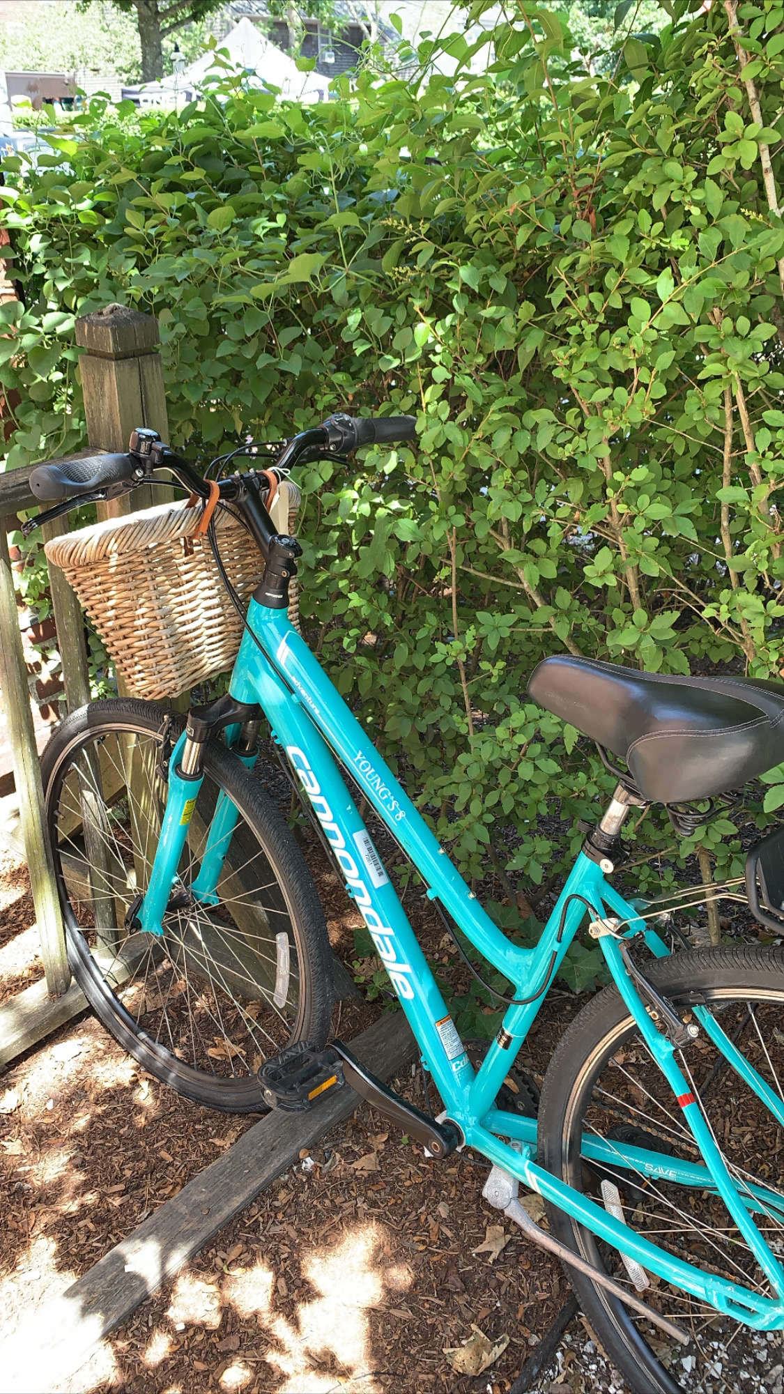 Young's Bike Shop Bike Rental with Basket 
