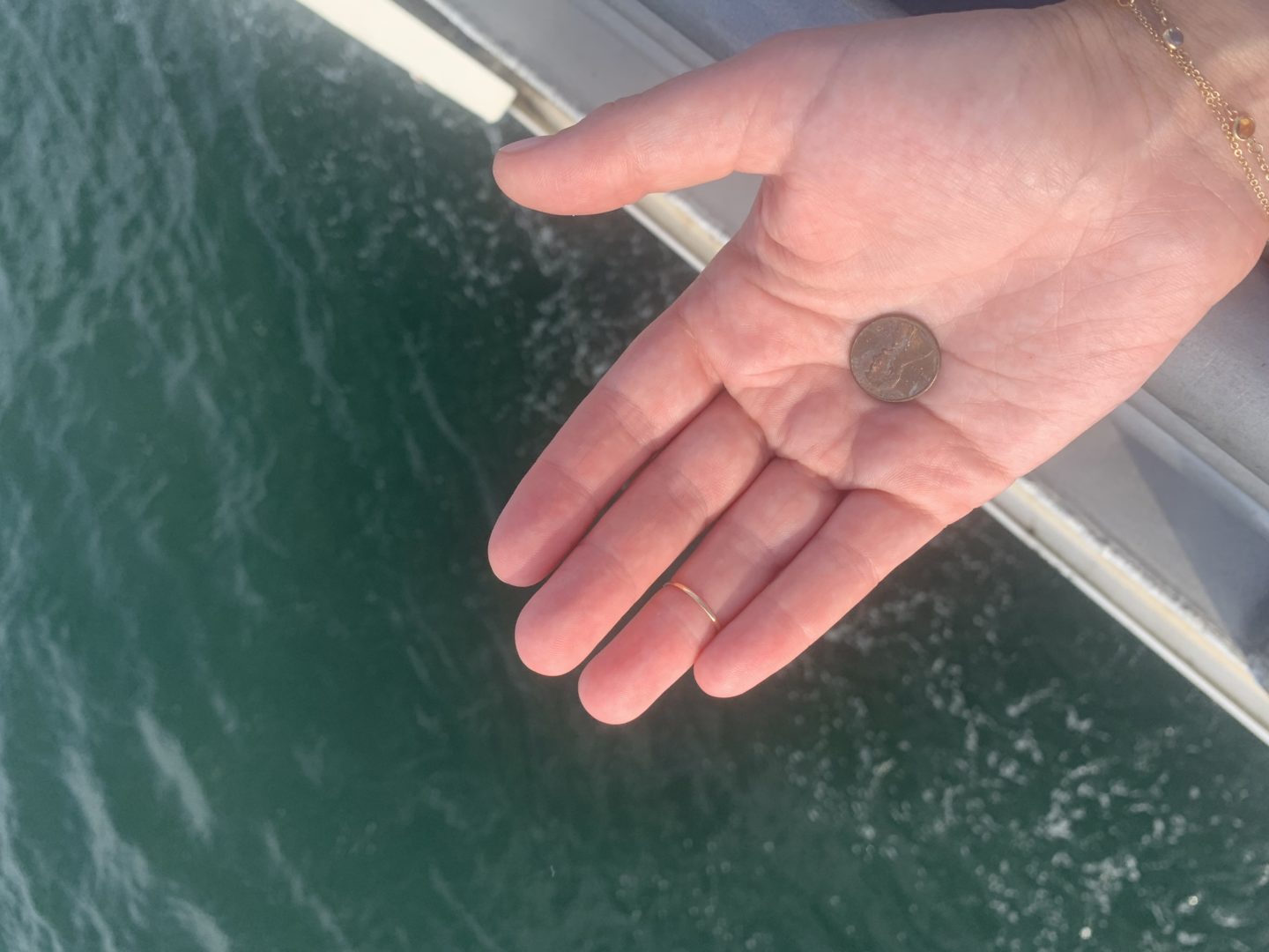 Nantucket Seastreak Ferry Penny 